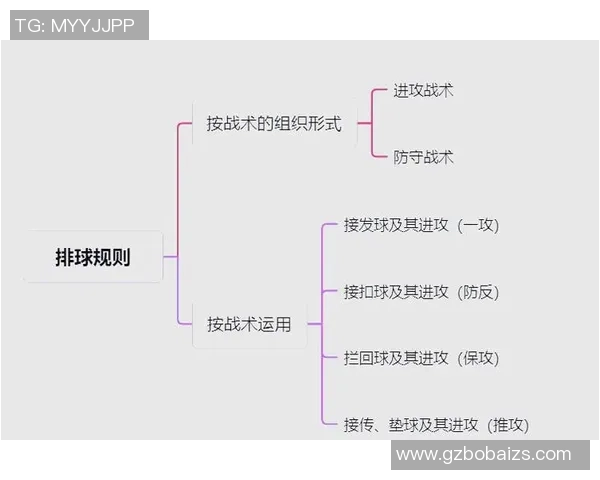 南京排球队进攻战术深度解析与实战应用探讨 南京排球队进攻战术深度解析与实战应用探讨
